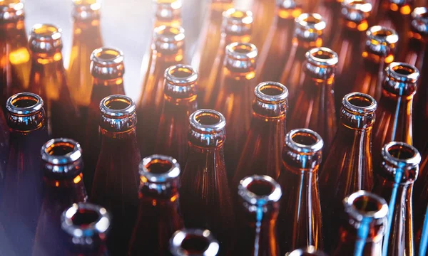 Стеклянные бутылки пива на темном фоне с солнечным светом. Линия производства пивоваренного завода — стоковое фото