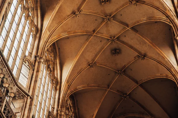Gotik katedral iç — Stok fotoğraf