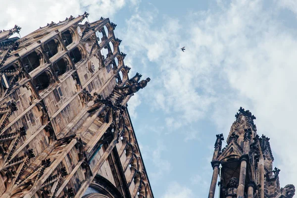 Förstörda gotiska katedralen med gargoyle, tegel fasad, europeisk arkitektur — Stockfoto