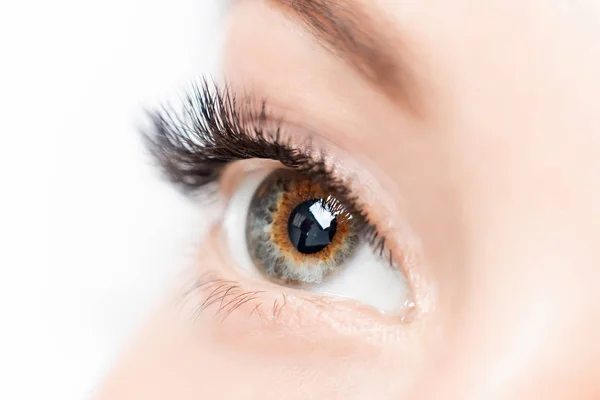 Wimpernverlängerungen Prozedur im Wellness-Schönheitssalon. Makro schöne Augen mit Make-up — Stockfoto