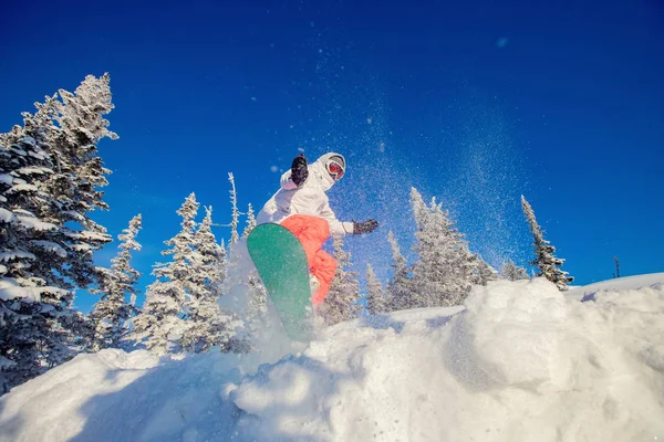 Snowboardzista na snowboardzie skacze po świeżym śniegu w lesie, wybuch pyłu. Freeride w Alpach Ośrodek narciarski — Zdjęcie stockowe