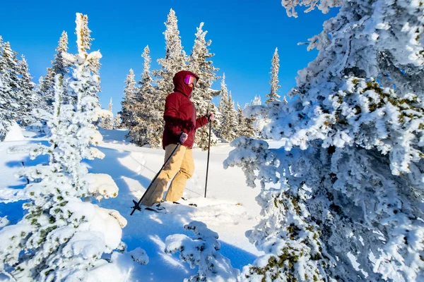 Mit Skitouren Gipfel und Winterwald erkunden — Stockfoto