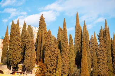 Güzel hava manzaralı Panorama City Köprüsü Gün batımı Verona İtalya