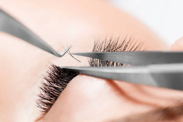 Procedimiento de extensión de pestañas. Master pinzas falsas pestañas largas hermosos ojos femeninos — Foto de Stock