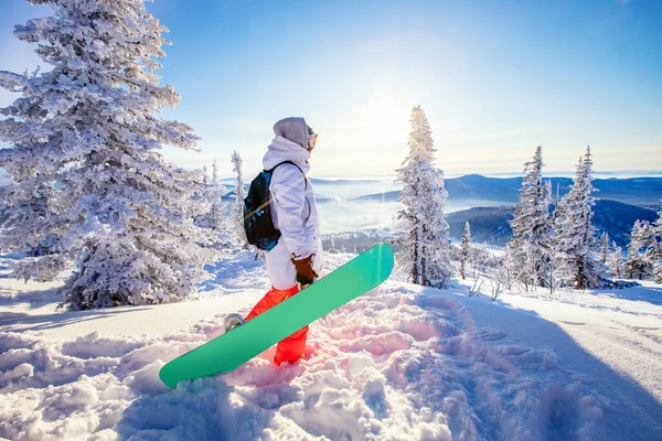 Жінка сноубордистка тримає сноубордист на тлі зимового лісу та снігу, сонячного світла гірськолижного курорту. Концепція пригод активне дозвілля — стокове фото