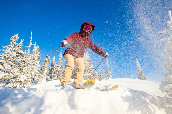 Skiën springen skiër in het bos stof sneeuw. Concept extreme wintersport — Stockfoto