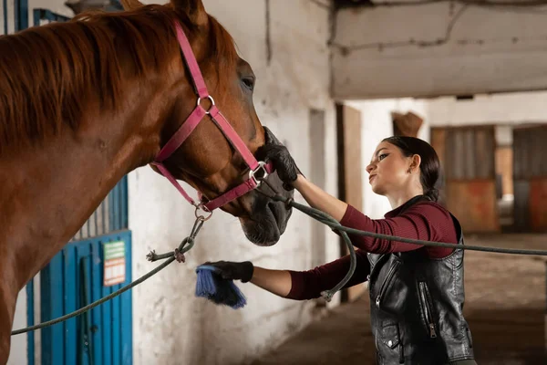 Femme toiletteuse prend soin et peigne manteau de cheval de cheveux après les cours hippodrome — Photo