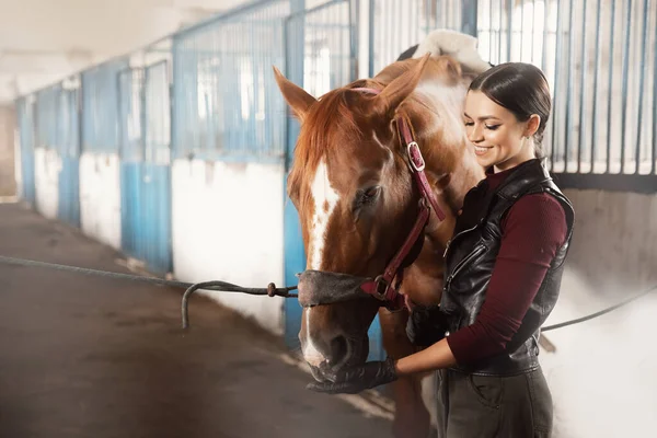 Femme toiletteuse prend soin et peigne manteau de cheval de cheveux après les cours hippodrome — Photo