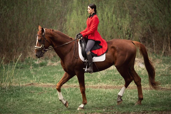 Sport équestre, jeune femme jockey monte cheval brun — Photo