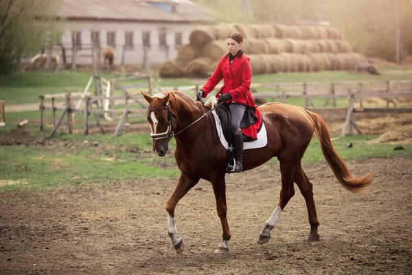 Ιππασίας αθλητική γυναίκα αναβάτης Άσκηση άλογο σε εξωτερικούς χώρους — Φωτογραφία Αρχείου