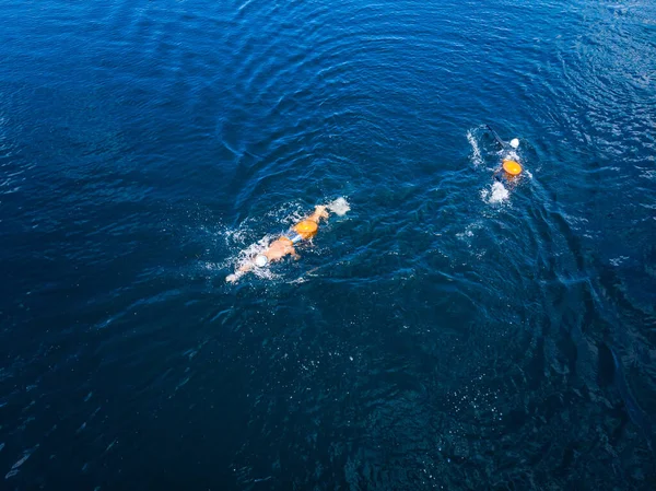 Arctic people swim ice hole in cold water, athletes in wetsuits with orange buoys in blue sea — Stock Photo, Image