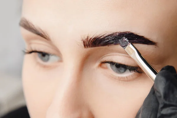 Master tinting of eyebrow hair women, brow correction — Stock Photo, Image