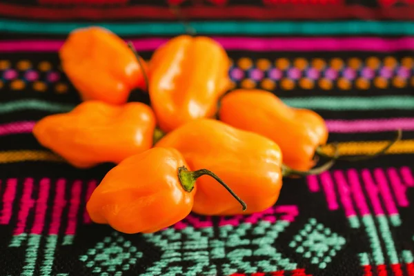 Σπόροι Τσίλι Μεξικάνικο Φαγητό Στο Μεξικό — Φωτογραφία Αρχείου