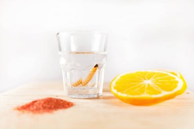 Portakal dilimleri ve solucan tuzu oaxaca Meksika Meksika içkiyle Mezcal