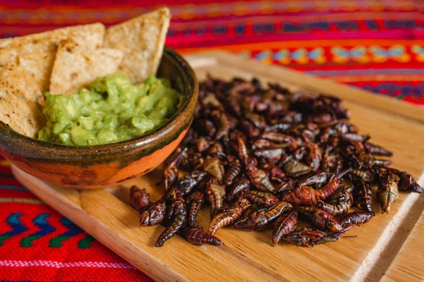 Chapulines Gräshoppor Och Guacamole Mellanmål Traditionell Mexikansk Mat Från Oaxaca — Stockfoto