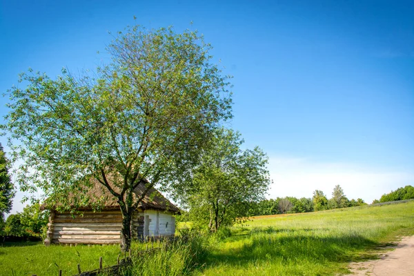 Stare Tradycyjne Ukraińskie Hut Jest Ekologiczne Budynku Wykonane Materiałów Naturalnych — Zdjęcie stockowe