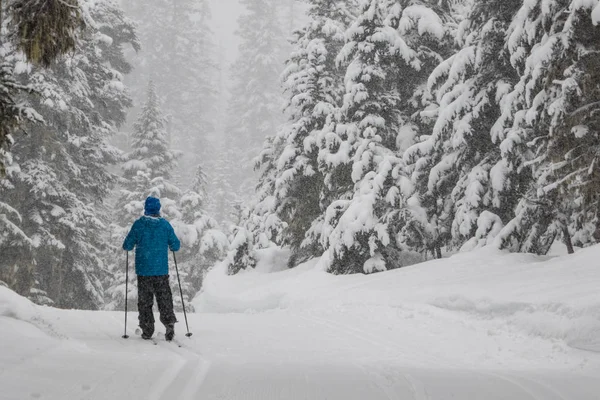 Man langlaufen in een sneeuwstorm — Stockfoto