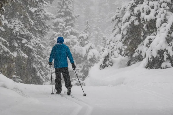 Man cross-country skiing in a snowstorm — Stock Photo, Image