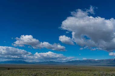 Büyük açık alanlarda Nevada