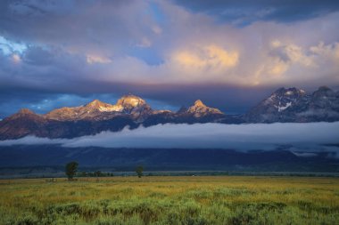 Çim ve adaçayı alanları, grand Teton Milli Parkı