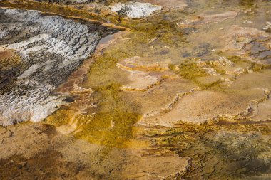 Yakın çekim mamut Kaplıcalar, Yellowstone Milli Parkı