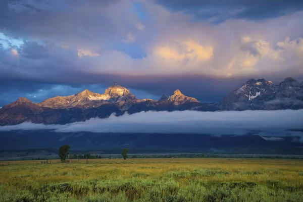 Sagebrush és a fű mezőket, a grand Teton Nemzeti Park — Stock Fotó