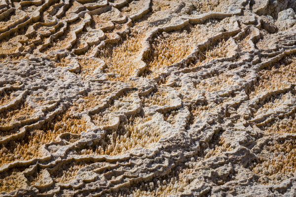 Крупный план гигантских горячих источников, Йеллоустонский национальный парк
