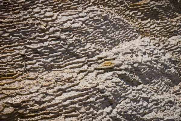 Крупный план гигантских горячих источников, Йеллоустонский национальный парк — стоковое фото