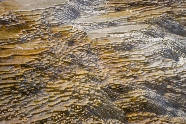 Крупный план гигантских горячих источников, Йеллоустонский национальный парк
