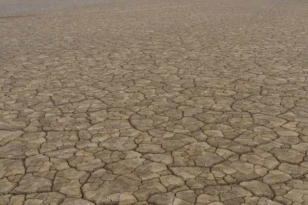 Close-up de lama seca e rachada — Fotografia de Stock