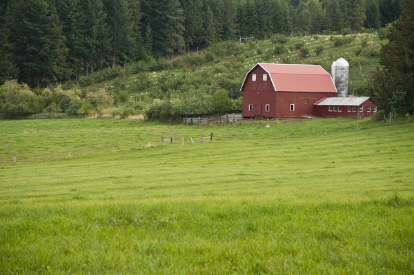 Rote Scheune Auf Der Grünen Wiese lizenzfreie Stockbilder