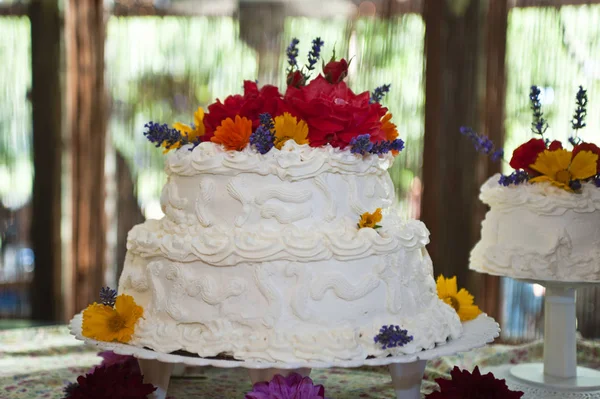 पांढरा लग्न केक — स्टॉक फोटो, इमेज