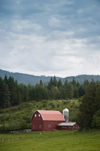 Schuur en silo in Pacific Northwest — Stockfoto