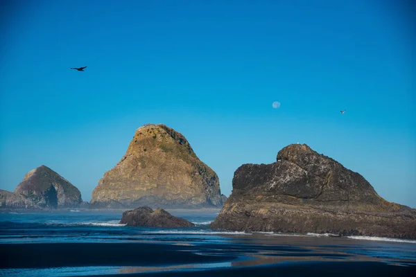 Seastacks w świetle wcześnie rano, na wybrzeżu Oregonu. — Zdjęcie stockowe