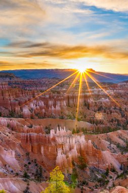 Bryce Canyon Milli Park'ta yapraklara ile güzel gündoğumu 