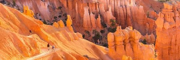 Фотограф фотографирует скальные образования в каньоне Зайон на — стоковое фото