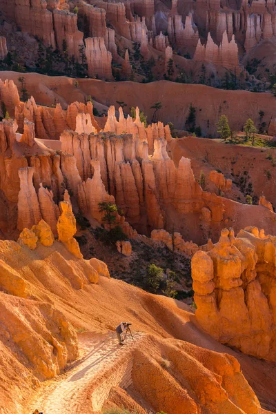 Fotograaf voor het nemen van een foto van rotsformaties in Zion Canyon nb — Stockfoto