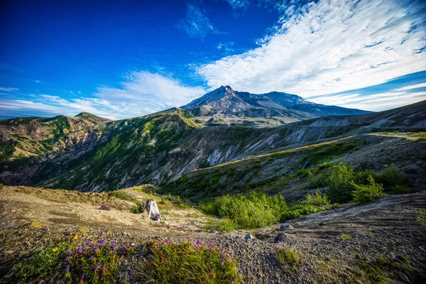 Mount St. Helens volcano and the blast zone landscape — Stock Photo, Image