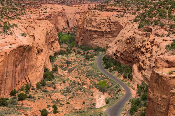 Strada asfaltata nel canyon e Mesa paese del sud dello Utah — Foto Stock