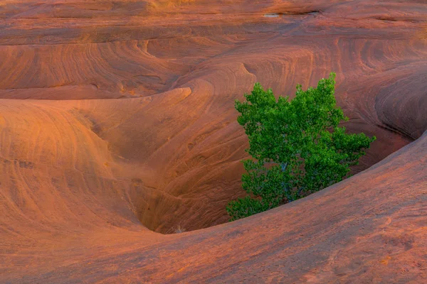 Rock formations at Dance Hall Rock in southern Utah