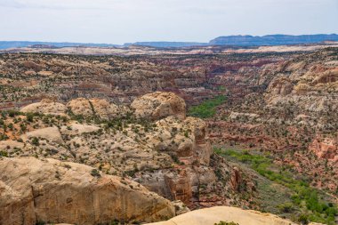 Calf Creek Kanyon, Highway 12, Utah büyüyen ağaçlar ile doğal çöl manzara