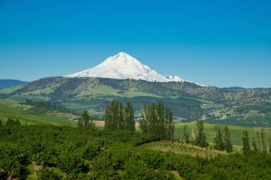 Oregon Mount Hood üssünde tarım arazi