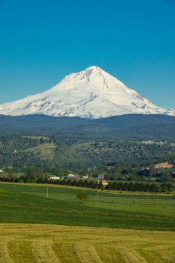 Oregon Mount Hood üssünde tarım arazi