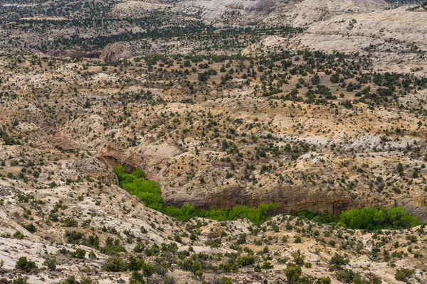 Paisaje Desértico Escénico Con Árboles Creciendo Calf Creek Canyon Highway — Foto de Stock