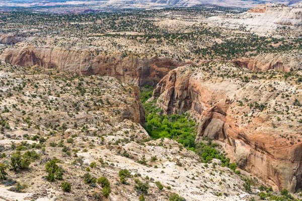 Paisaje Desértico Escénico Con Árboles Creciendo Calf Creek Canyon Highway — Foto de Stock