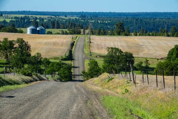 Campos Agrícolas Carretera Grava Oregon Oriental —  Fotos de Stock