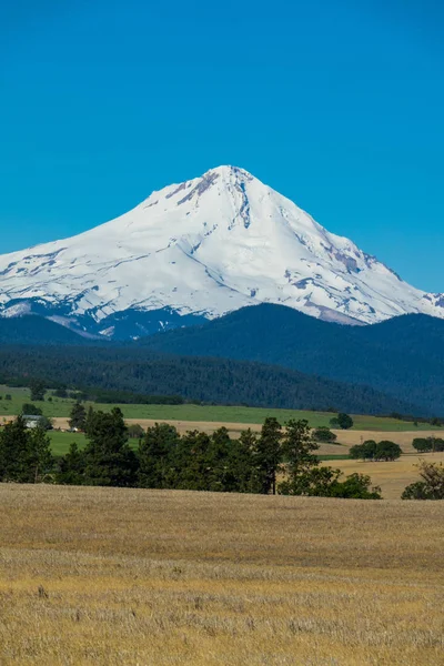 Teren Agricol Baza Muntelui Hood Din Oregon — Fotografie, imagine de stoc