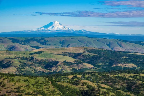 Snow Covered Mount Adams Seen Oregon — Stock Photo, Image