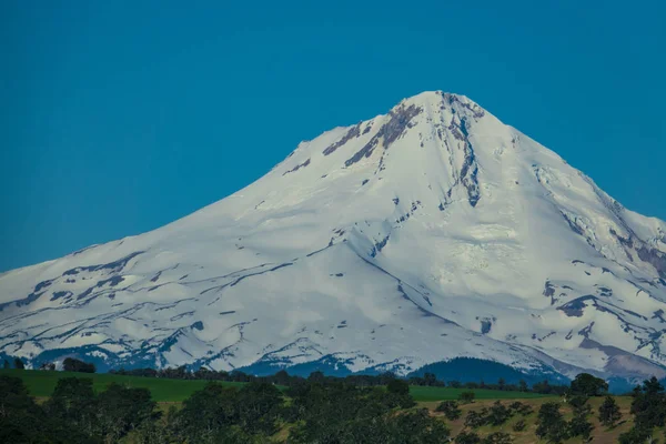 Partea Estică Zăpezii Acoperită Muntele Hood Din Oregon — Fotografie, imagine de stoc