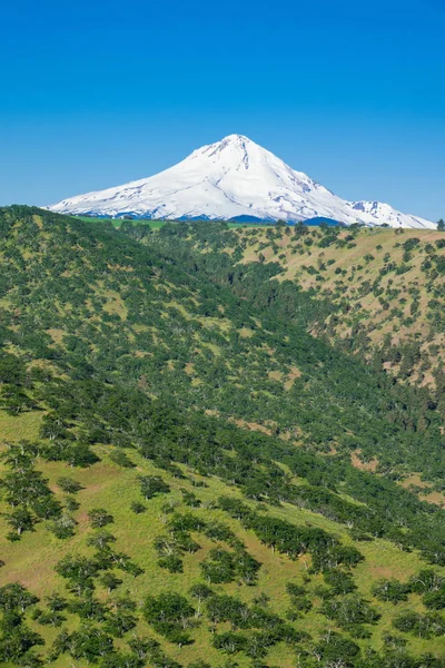 Eastern Side Snow Covered Mount Hood Oregon — Stock Photo, Image